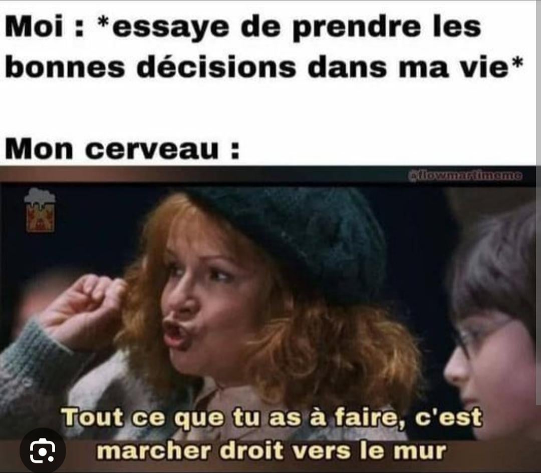 Meme du jour