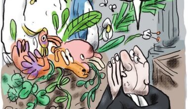 L'Europe a fait un grand pas vers la reconnaissance de l'écocide