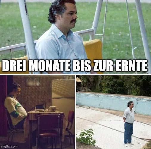 ich_iel