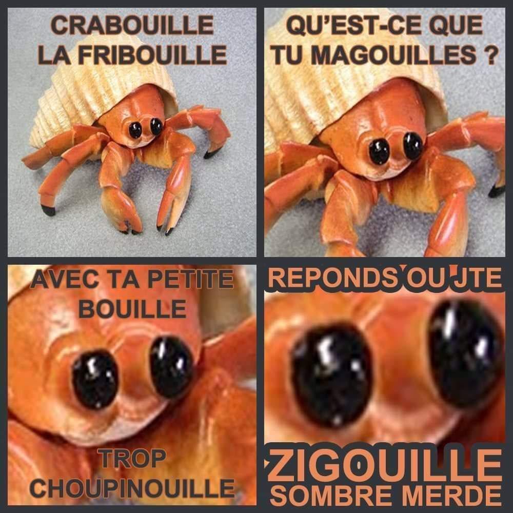 Bipolaire