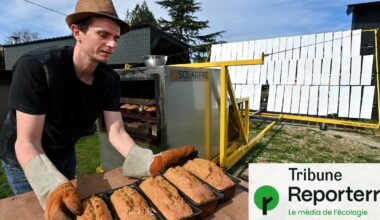 Solaire, éolien : « Organisons l’économie autour des énergies intermittentes »