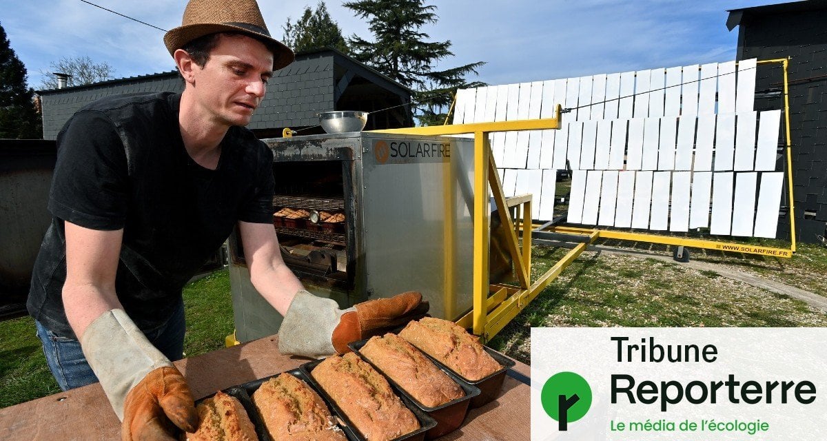 Solaire, éolien : « Organisons l’économie autour des énergies intermittentes »