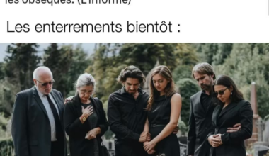 🎼🎼🎼🎼🎼