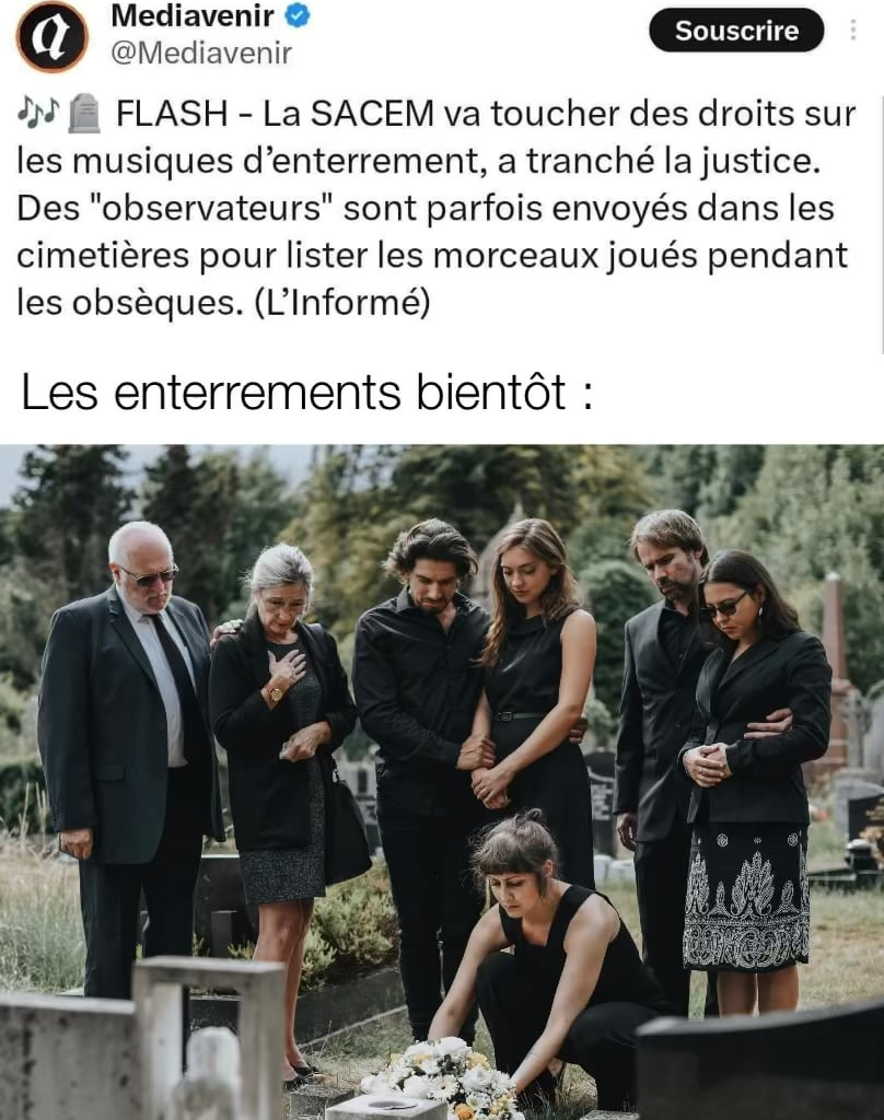 🎼🎼🎼🎼🎼