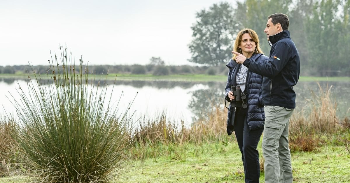 Ribera bloquea el acuerdo para salvar Doñana tras conocerse que la Junta legalizará nuevos cultivos en la zona
