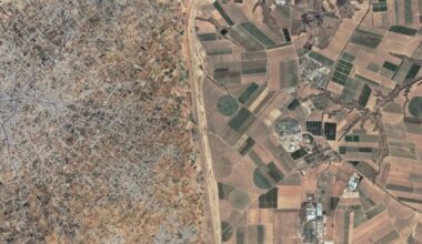 Le 7 octobre : un massacre antisémite ? TSEDEK