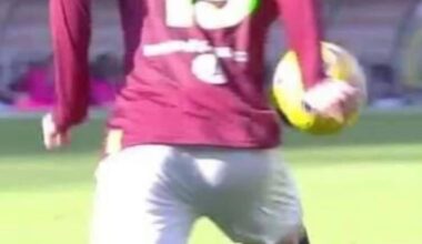 Handball during Torino-Salernitana that was not called. Thoughts? Is it a penalty?