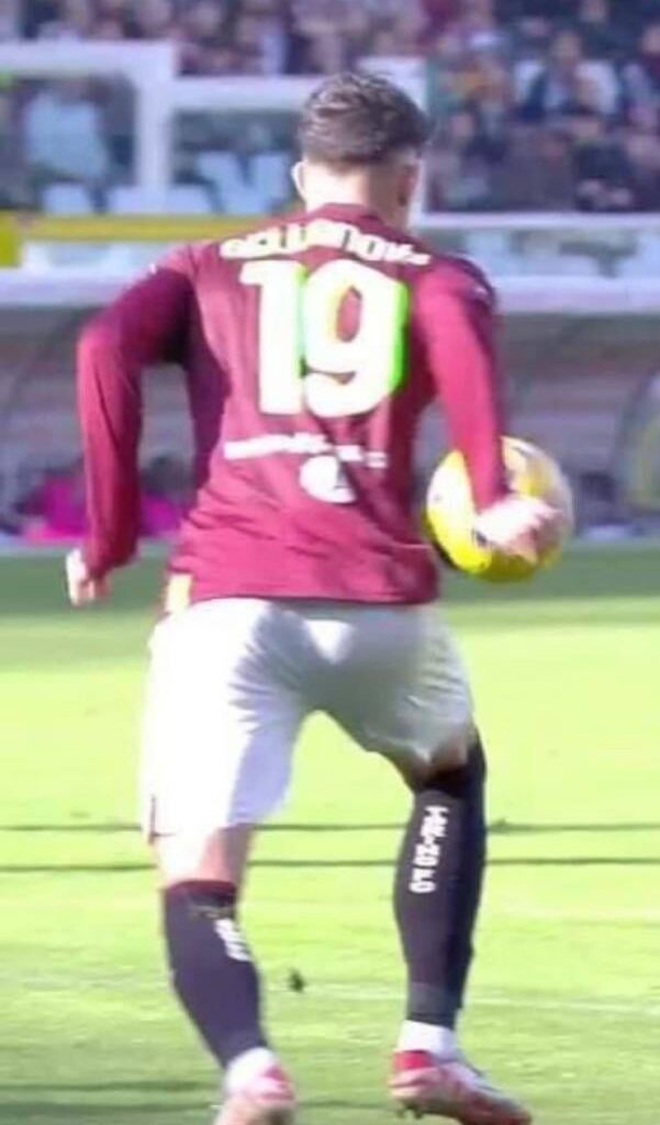 Handball during Torino-Salernitana that was not called. Thoughts? Is it a penalty?