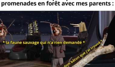 Meme journalier