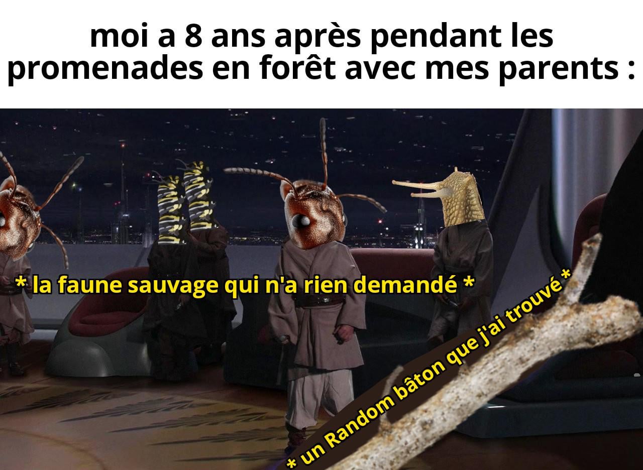 Meme journalier