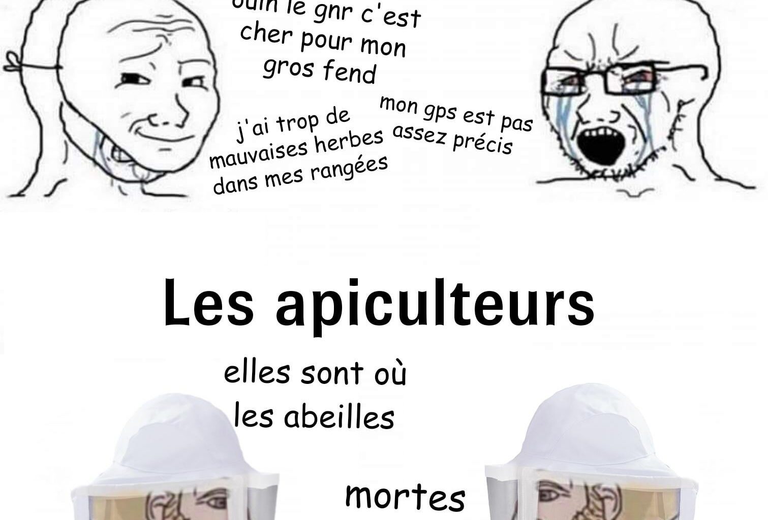 Meheu