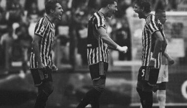 This picture perfectly defines what Juventus FC is (edit by me)