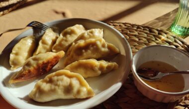 selbstgemachte Dumplings