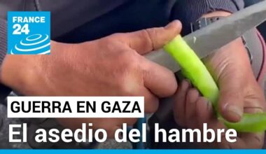 Gaza: población palestina cercada por las bombas israelíes y la escasez de alimentos