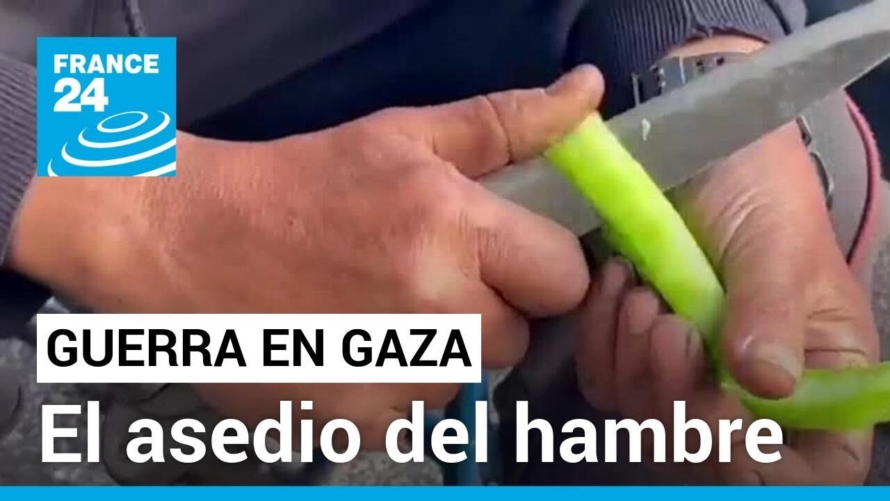Gaza: población palestina cercada por las bombas israelíes y la escasez de alimentos