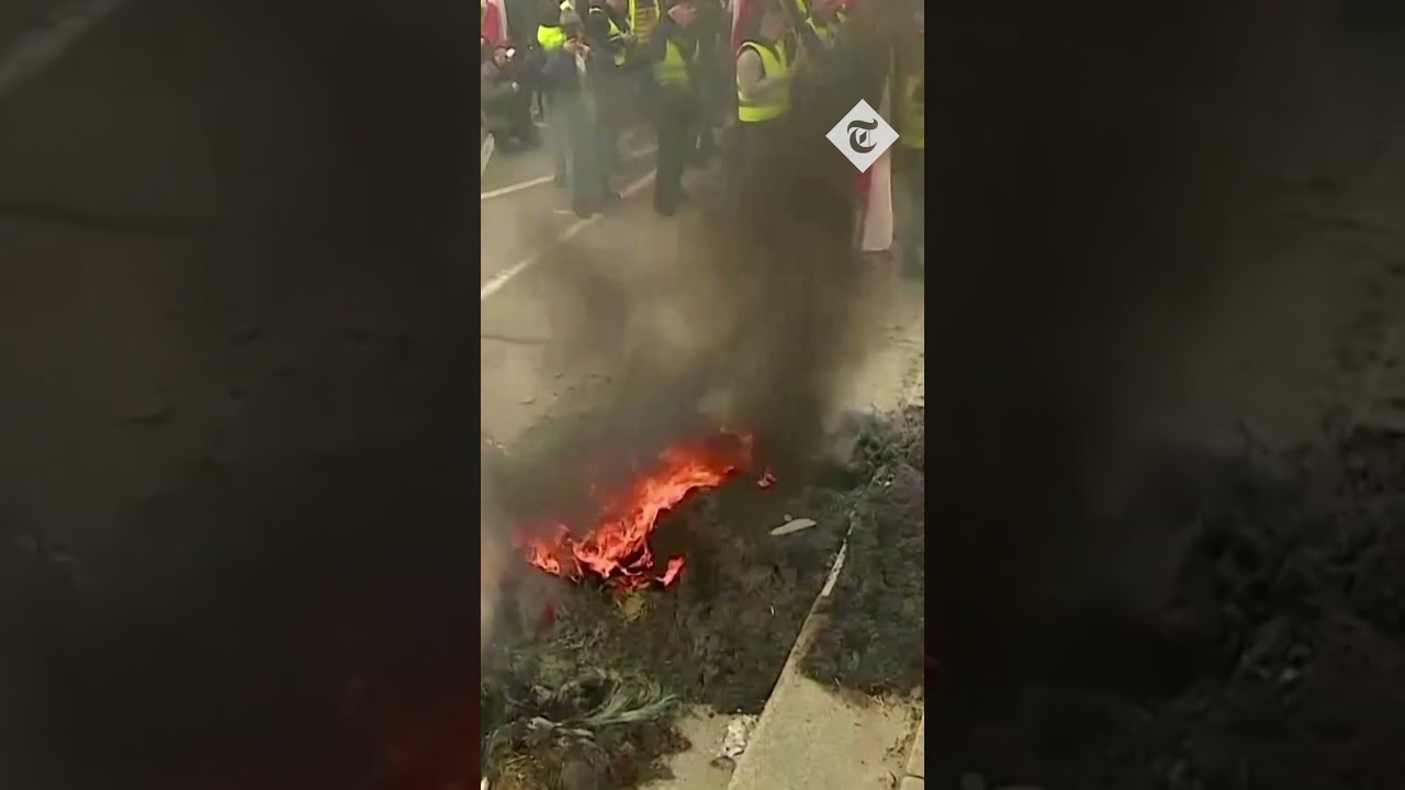Polish farmers pelt EU office with eggs
