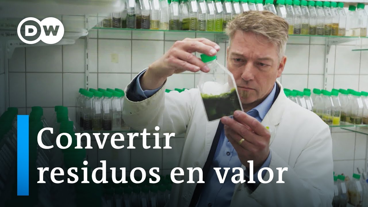 ¿Pueden las algas salvar el mundo? | DW Documental
