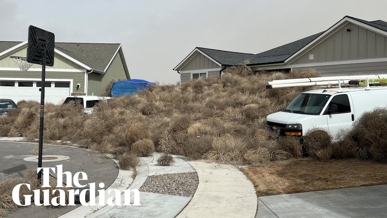 High winds engulf homes in tumbleweeds in western US