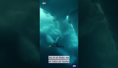Eistauchen in der Arktis #ndr #ndrdoku #arktis #tauchen