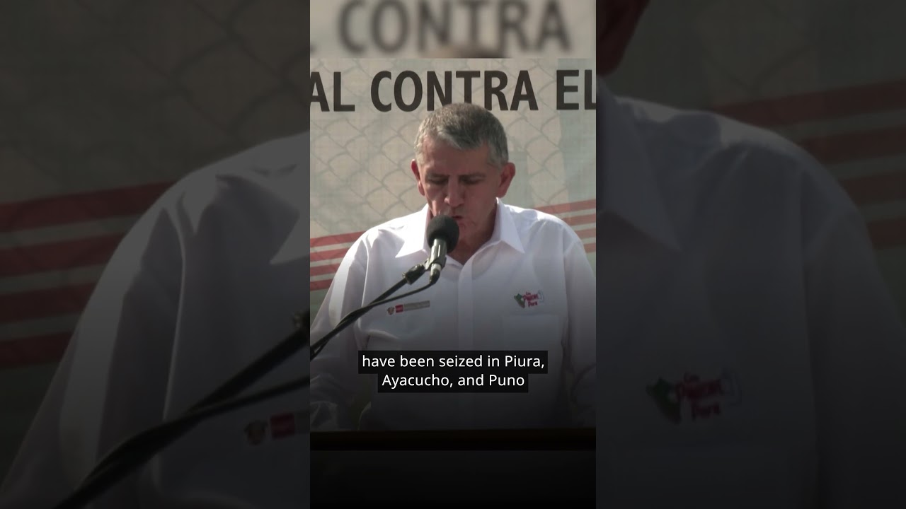 Peru destroys more than 20 tonnes of seized drugs | DW News