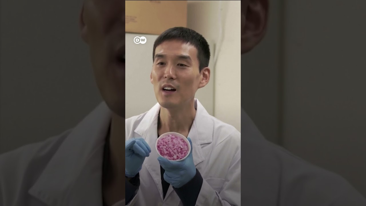 Würdet ihr rosa Fleisch-Reis aus dem Labor essen?
