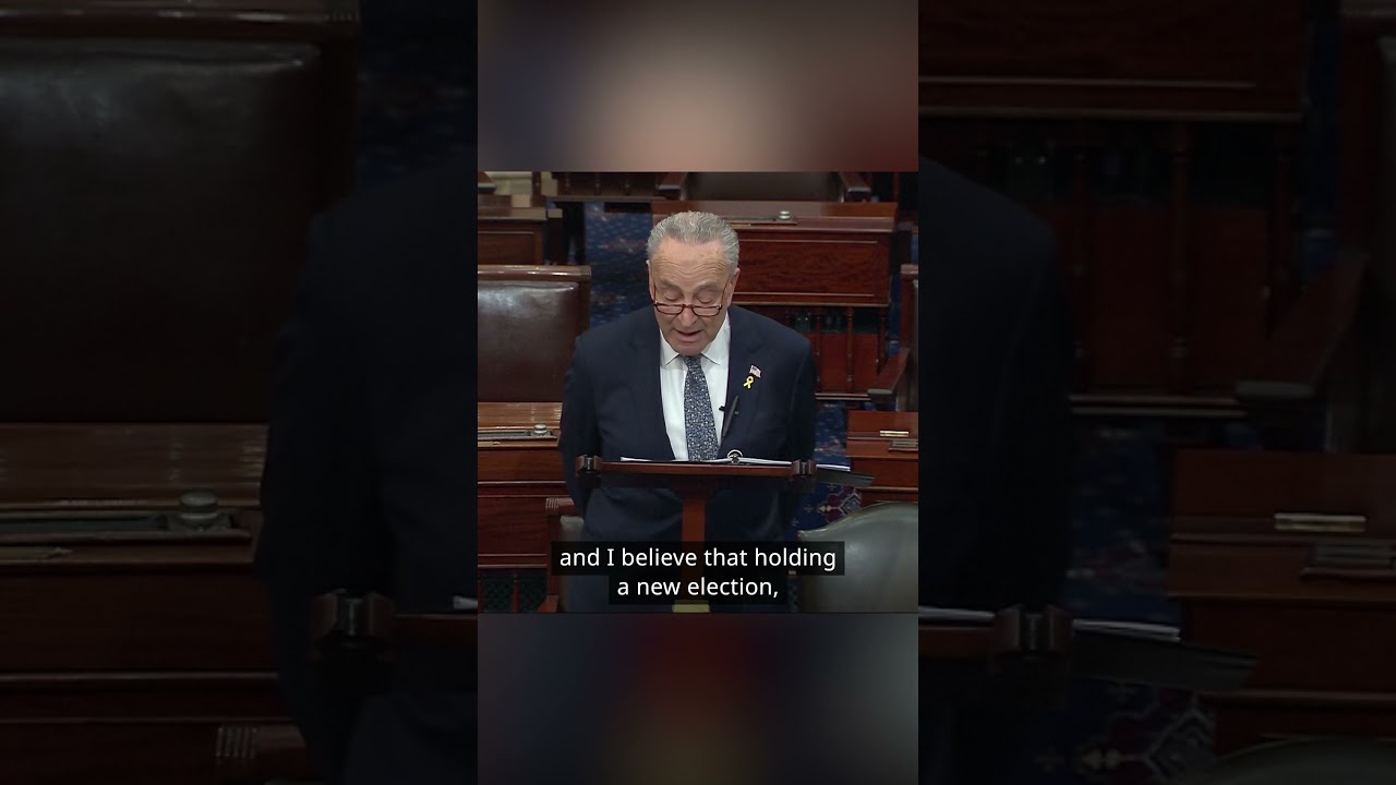 Chuck Schumer calls for new elections in Israel | DW News