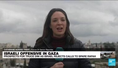 'There is growing frustration inside Israel' • FRANCE 24 English