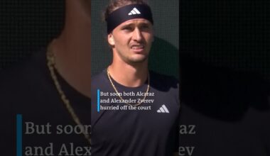 Bees invade tennis court at the Indian Wells tournament | DW News