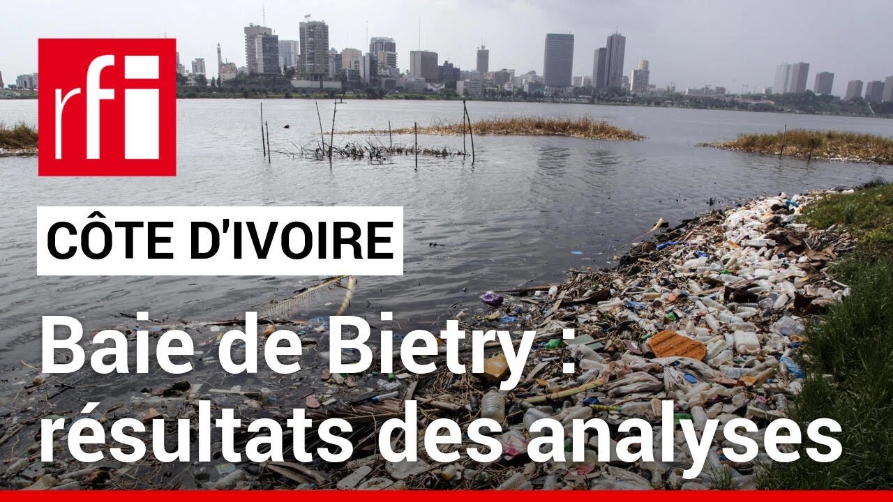 Côte d'Ivoire : les eaux de la baie de Bietry asphyxiées par une pollution de type « organique »