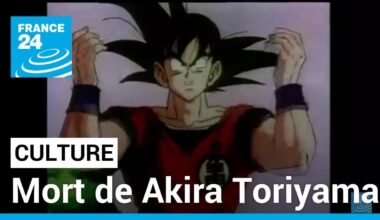 Mort de Akira Toriyama : Son Goku est orphelin • FRANCE 24
