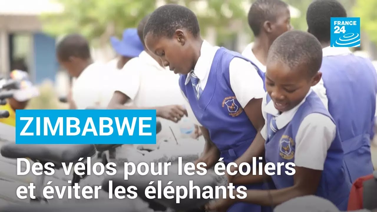 Zimbabwe : des vélos offerts pour éviter les éléphants sur le chemin de l’école • FRANCE 24