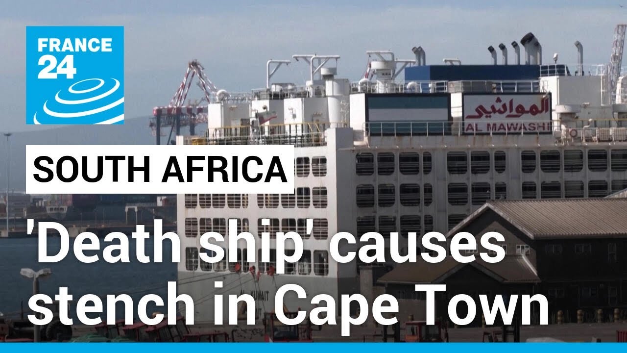 ‘Death ship’: Vessel carrying 19,000 cattle causes stench in Cape Town • FRANCE 24 English