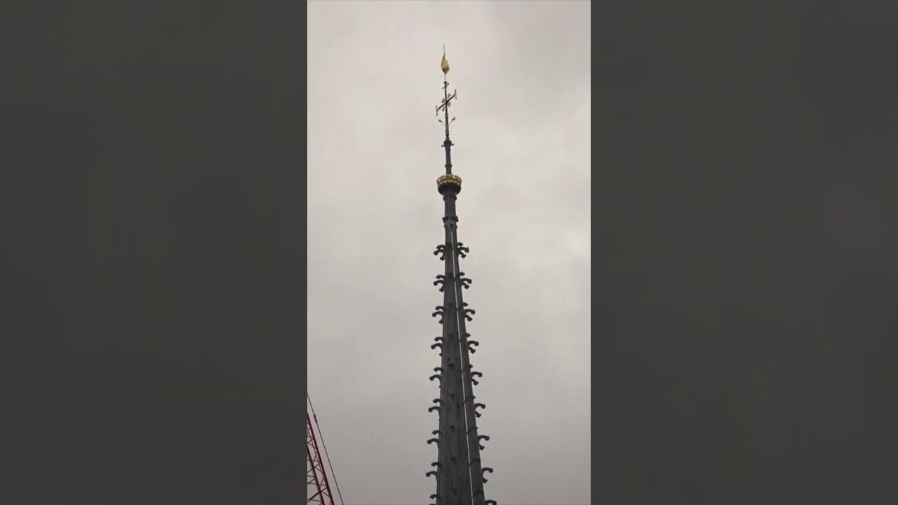 PARIS: Spektakuläre Zeitraffer-Aufnahme! So läuft die Renovierung von Notre-Dame I WELT #shorts