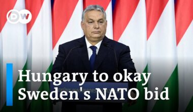 Orban says Hungarian parliament will ratify Sweden's NATO bid | DW News