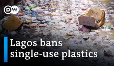 Nigeria: Lagos bans use of styrofoam, single-use plastics | DW News