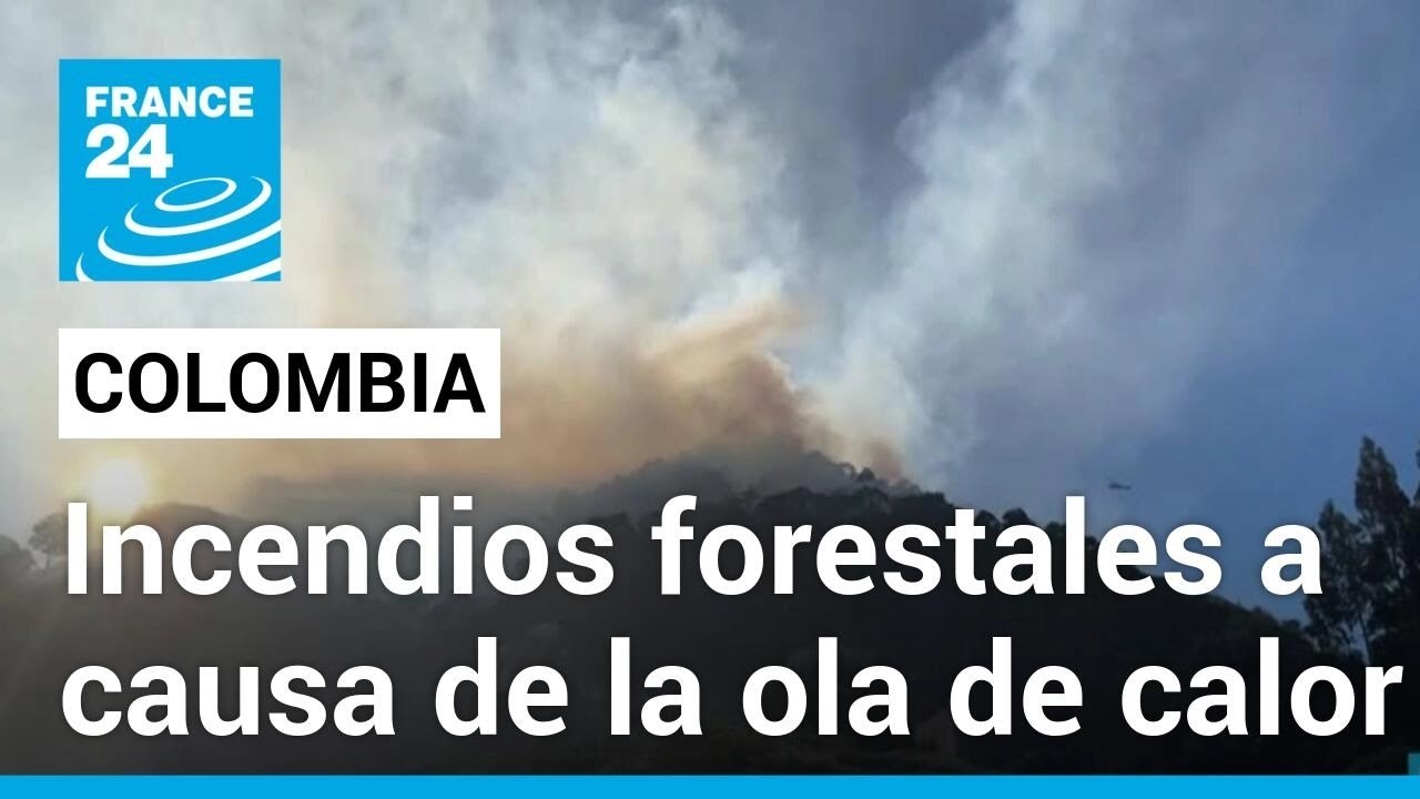 Ola de calor en Colombia acaba con hectáreas de bosque a causa de los incendios forestales