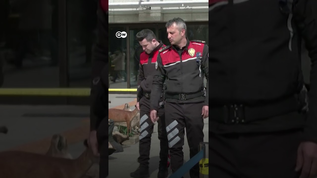 Türkische Polizei beschlagnahmt über 200 Tierpräparate | DW Nachrichten