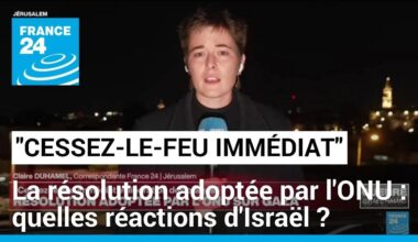 "Cessez-le feu immédiat" adopté par l'ONU : quelles réactions d'Israël ? • FRANCE 24