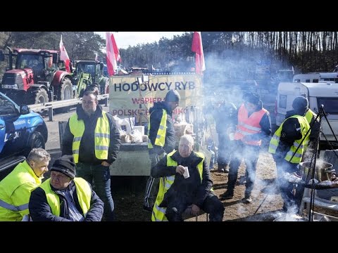 Importations d'Ukraine, Pacte vert : des agriculteurs polonais de retour à la frontière allemande