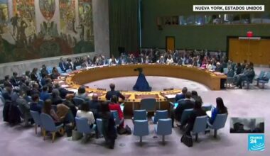 Gaza: Consejo de Seguridad de la ONU adopta resolución que pide un alto el fuego inmediato