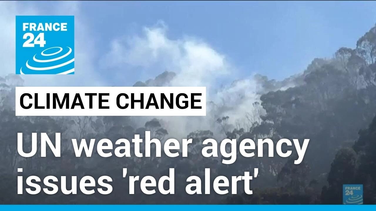 UN weather agency issues 'red alert' on climate change after record heat in 2023 • FRANCE 24