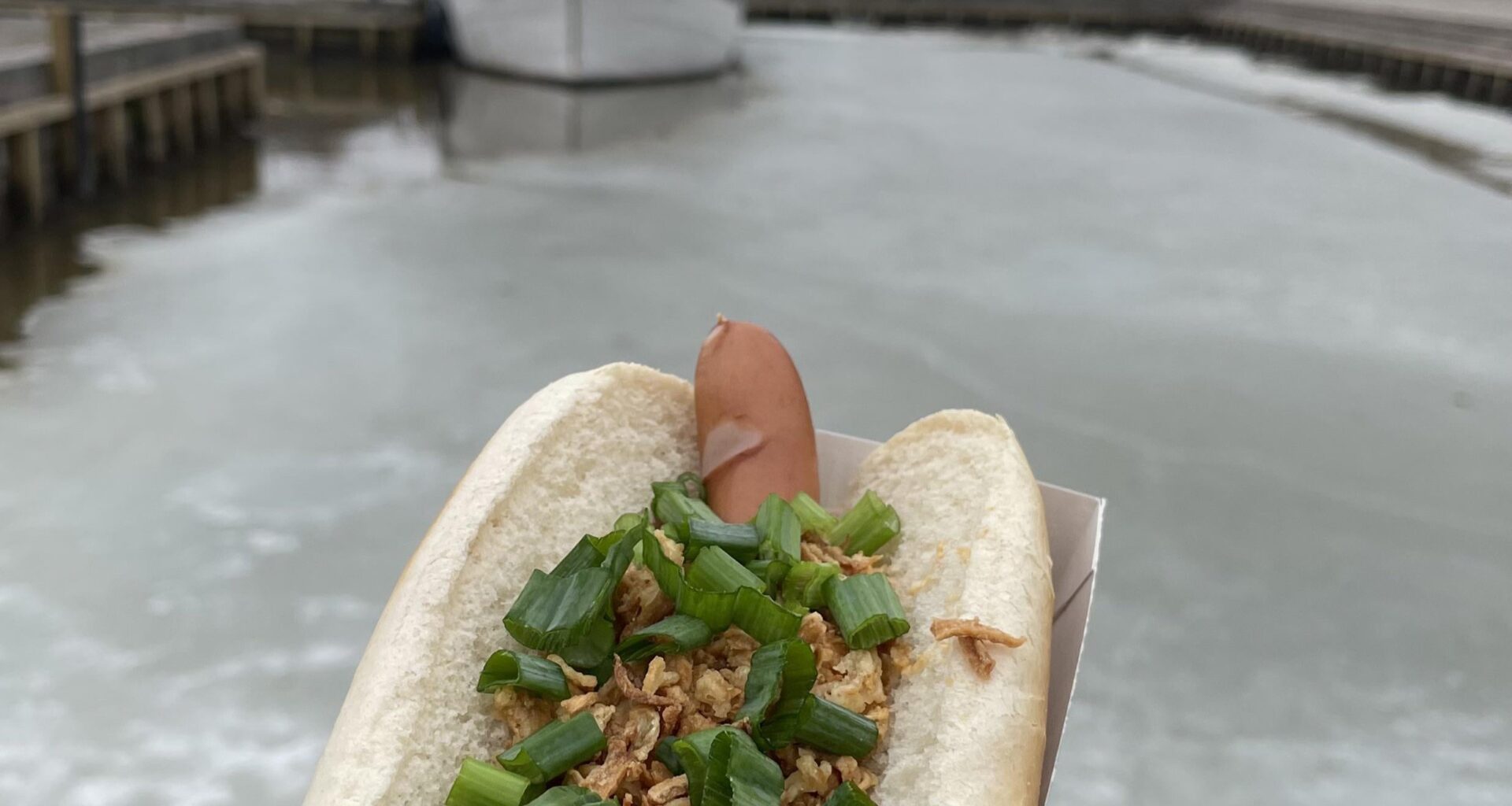 Reindeer hot dog in Helsinki