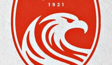O novo emblema do Santa Clara a partir da próxima época, votado pelos sócios.