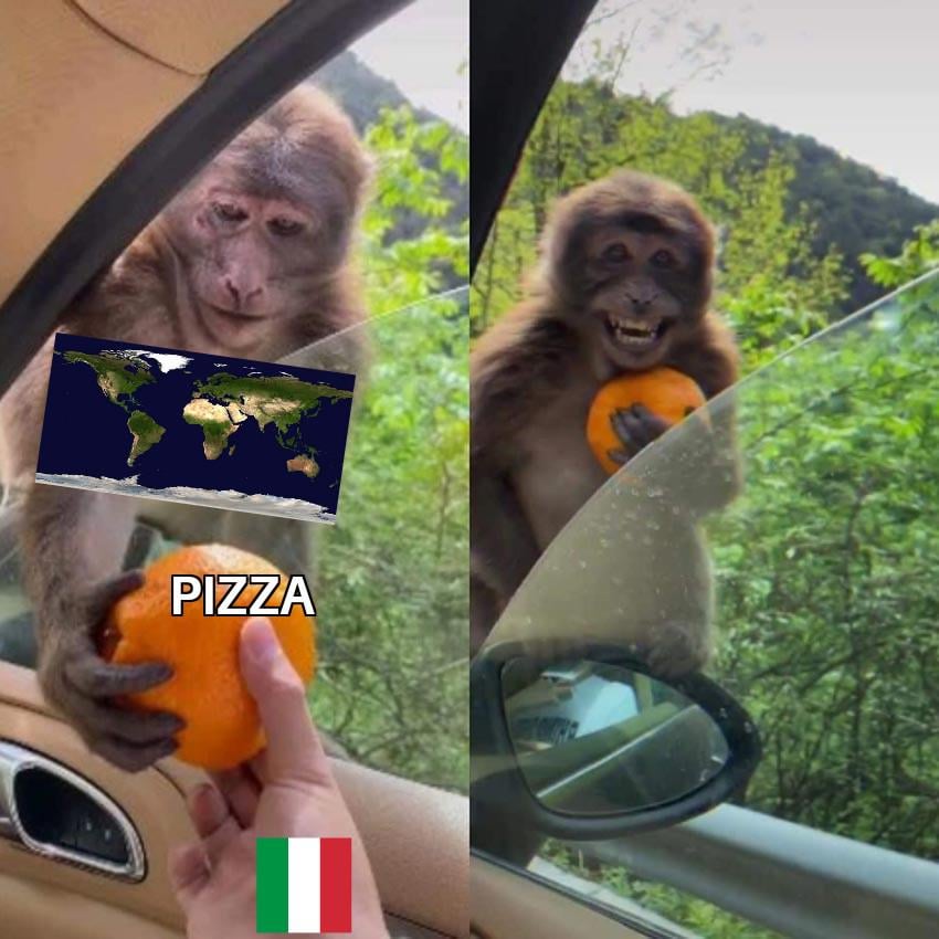 We give you a gift and you spit some pineapple slices on it.. Shame on you!