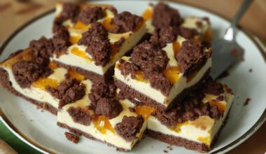 Chocolate Cheesecake with tangerines (closest translation I could find)