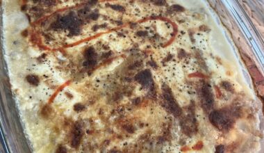 Moussaka my style. ( no aubergines. Mix of grounded pork and beef, onions, garlic, chiken broth)