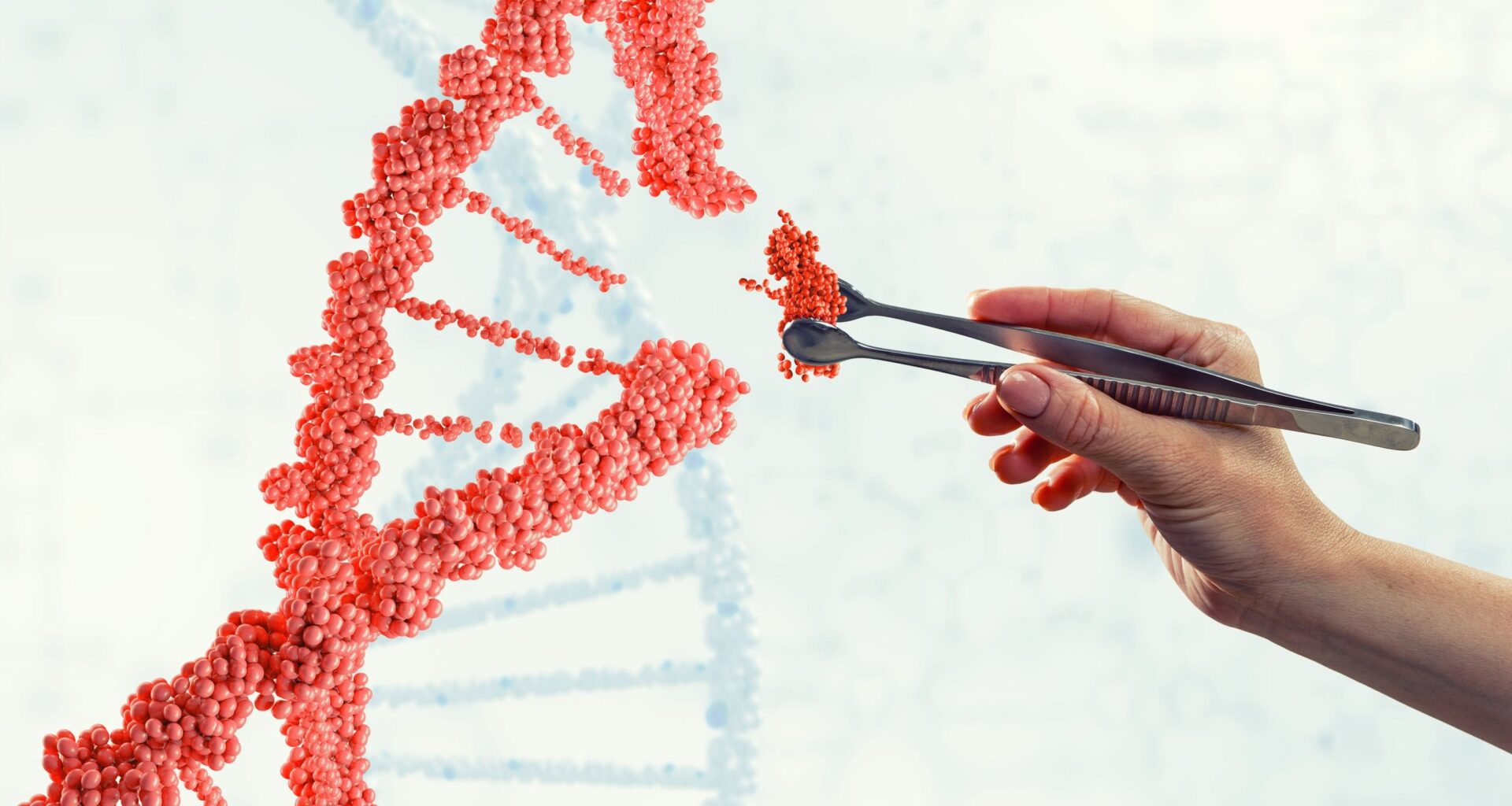 Nouvelles techniques génomiques : l’Anses appelle à une réglementation adaptée