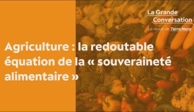 Agriculture : la redoutable équation de la « souveraineté alimentaire »
