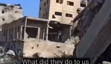 [Khan Younis, Gaza - 28 Février] Des soldats Israëliens abattent 2 jeunes frères en face d'une école qui accueille des réfugiés. Mohammed se videra de son sang pendant des heures à côté de son frère Amr, tué sur le coup