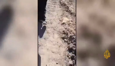 [22.03] Al-Jazeera publie une vidéo d'un patient à l'entrée de l'hôpital Al-Shifa ayant été écrasé par un tank Israëlien. Début mars, l'ONG EuroMed déclarait qu'une douzaine de civils auraient été écrasés vivants par des chars